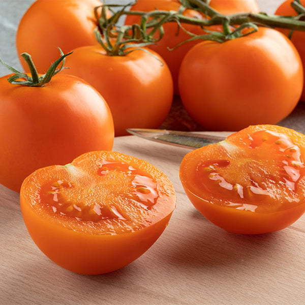 Orange tomatoes on the vine from Holland, 0.5 kg vegetable pack, fresh and ripe with vibrant color.