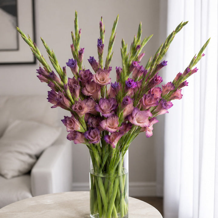 Close-up of Gladiolus, Indian Summer, XL blooms and natural details, from Sharbatly.