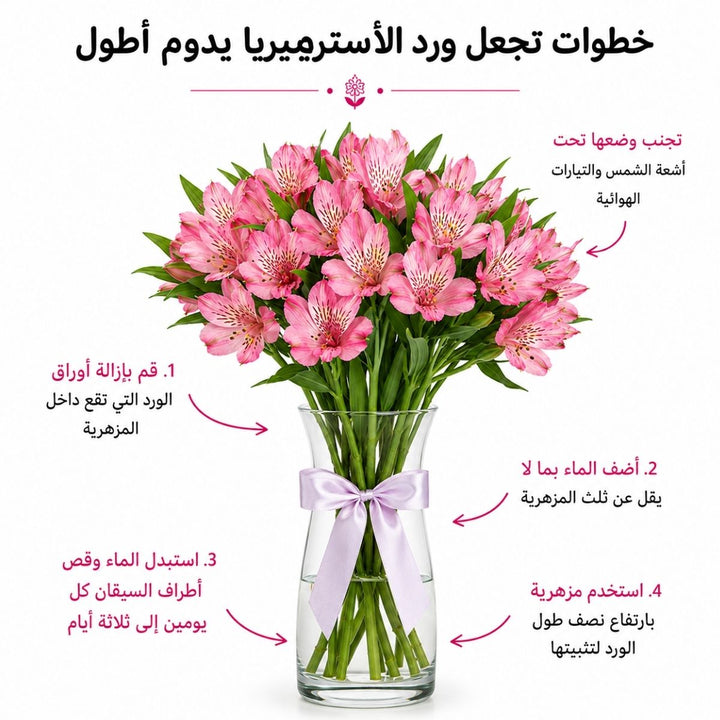 Alstroemeria flowers in vibrant red, 10 stems, with care tips displayed in an image, by SQ Flora Kenya.