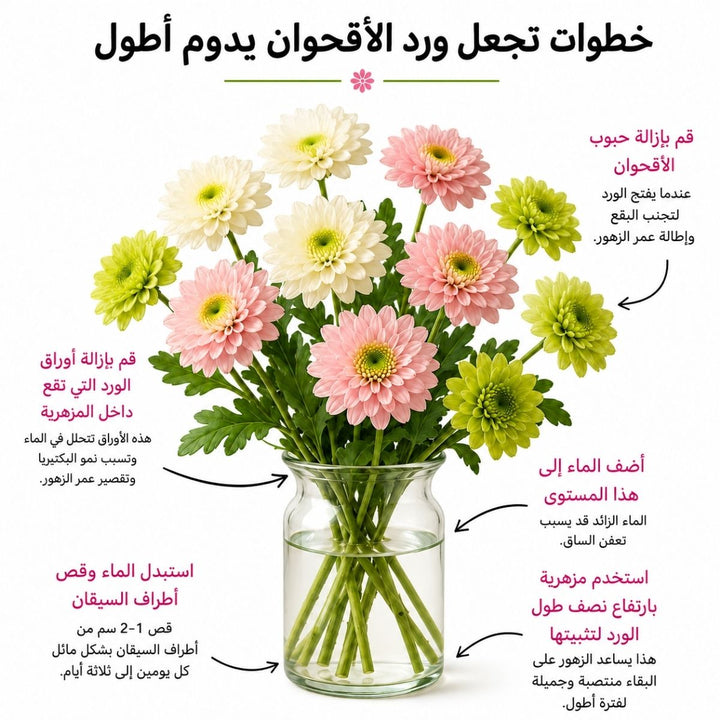 Fresh Santini Insta White Chrysanthemum flower stems from Fresh Flower Holland, showcasing vibrant white blooms with green foliage.