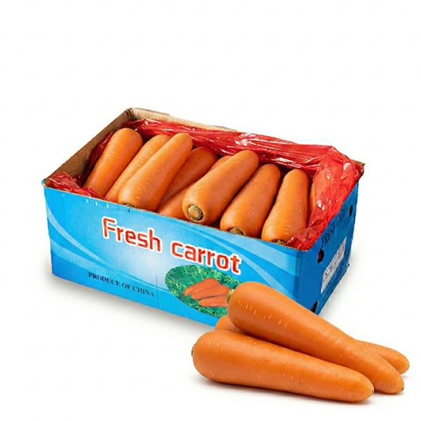 Extra large carrots from Sharbatly in a 10 kg carton, fresh and vibrant orange vegetables for cooking or snacking.