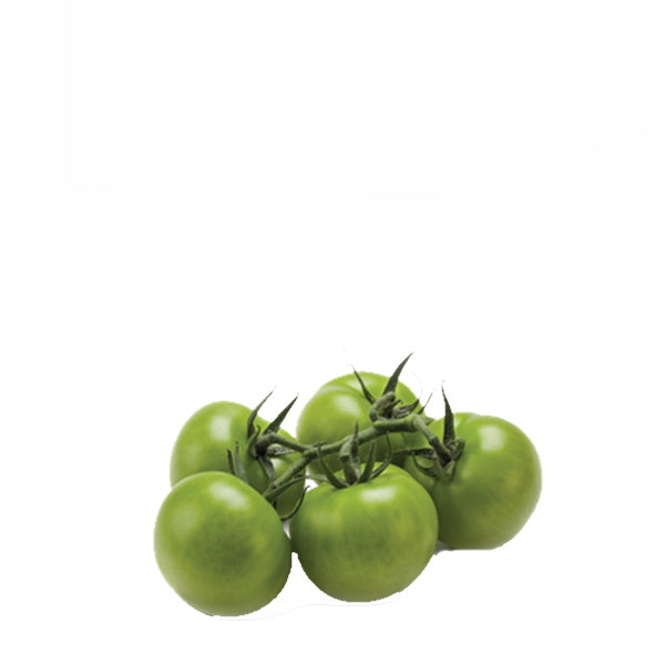 Green tomatoes on the vine in a 0.5 kg pack, fresh Holland vegetable product with vibrant, ripe appearance.