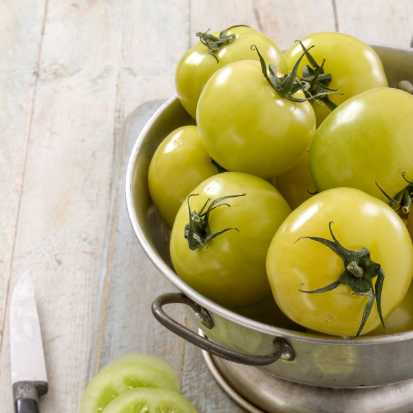 Green tomatoes on the vine from Holland, 0.5 kg vegetable pack, fresh and ripe for cooking or salads.