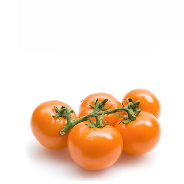 Orange tomatoes on the vine in a 0.5 kg Holland vegetable pack, fresh and ripe with vibrant color.