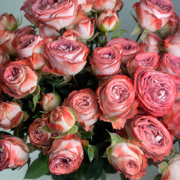 Bouquet of 10 spray roses from Vegpro Kenya in a garden setting, showcasing vibrant blooms on long stems.
