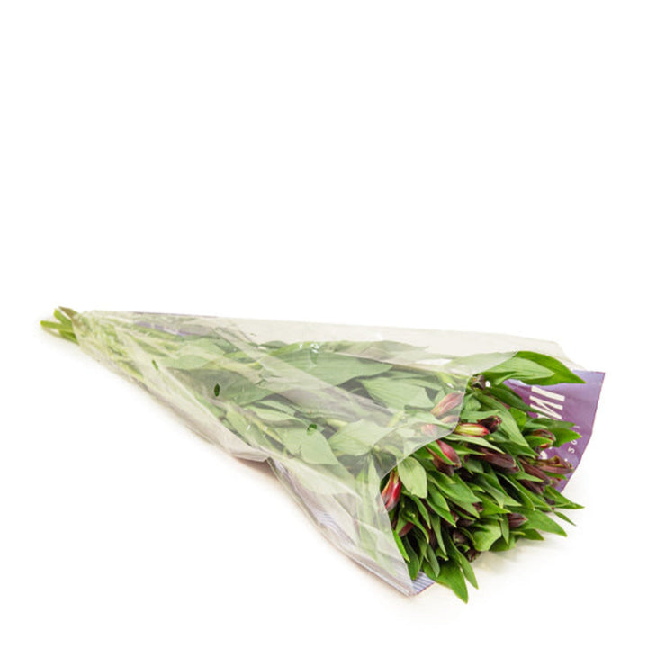 Red Alstroemeria flowers in a bouquet with 10 stems, displayed by SQ Flora Kenya, vibrant and fresh flower arrangement.