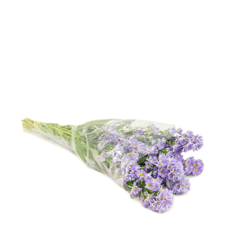 Black Tulip Aster Cassandra flower stems, showing vibrant purple blooms and green foliage, arranged in a natural bouquet style.