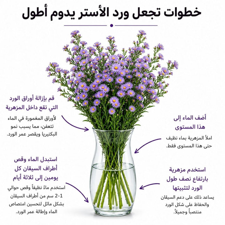 Light purple Aster flowers from Black Tulip, arranged in a bouquet with 10 stems, showcasing vibrant blooms and green foliage.