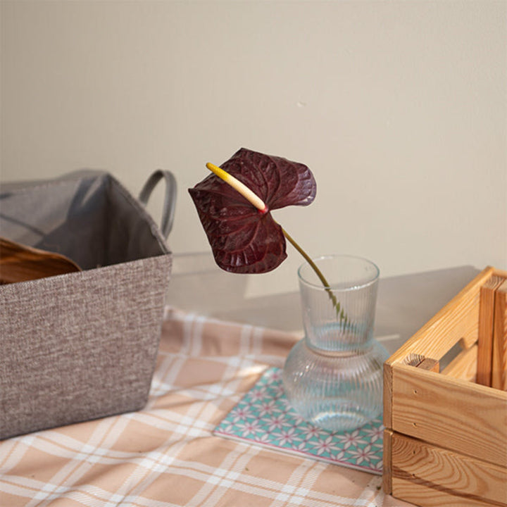 Single stem of Maravilla Black Anthurium flower by Fresh Flower Holland, showcasing glossy black spathe and vibrant spadix.