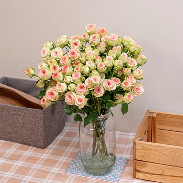 Baby roses flower stems from SQ Flora Kenya, showcasing 10 delicate pink blooms arranged together.