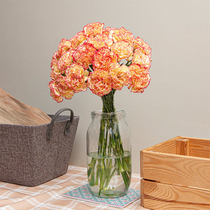 Bouquet of 19 pink carnations from SQ Flora Kenya, showcasing vibrant flower stems arranged beautifully.