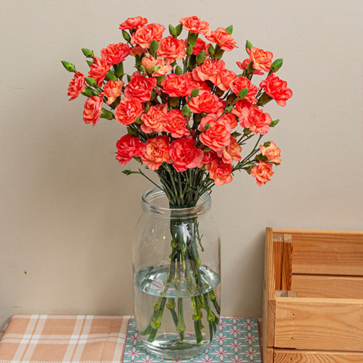 Bouquet of 10 Baby Amelia carnations from SQ Flora Kenya, fresh pink flowers with green leaves in a natural arrangement.