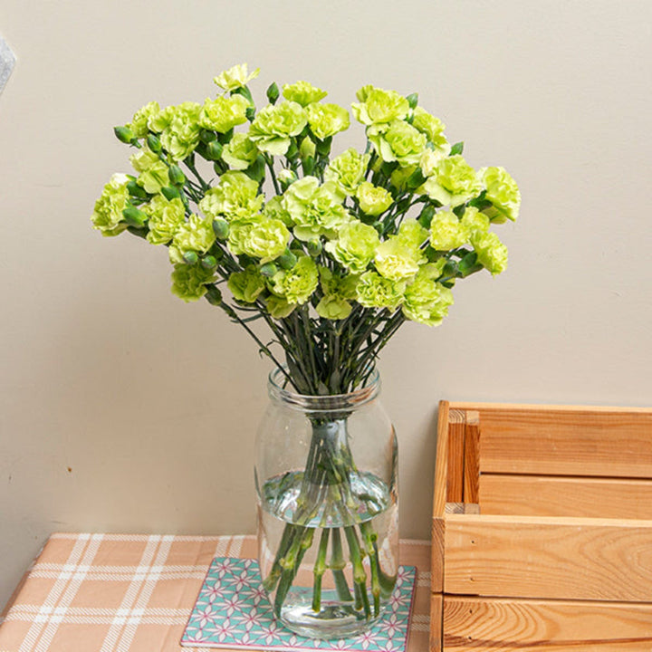Bouquet of 10 fresh carnations and baby parsley stems from SQ Flora Kenya, showcasing vibrant flowers and greenery.