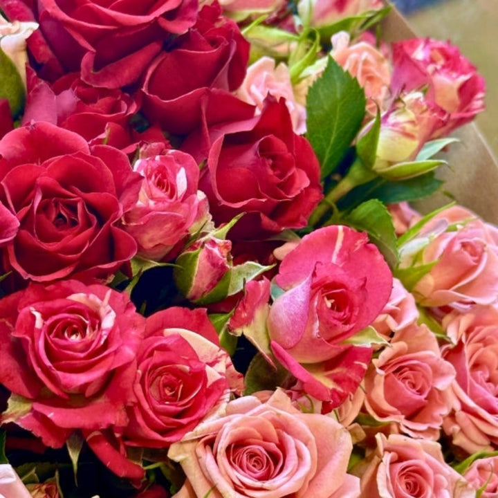 Luxury bouquet of 30 cerise and red mixed flowers, arranged in a lush floral arrangement by Mix Flower Bouquet.