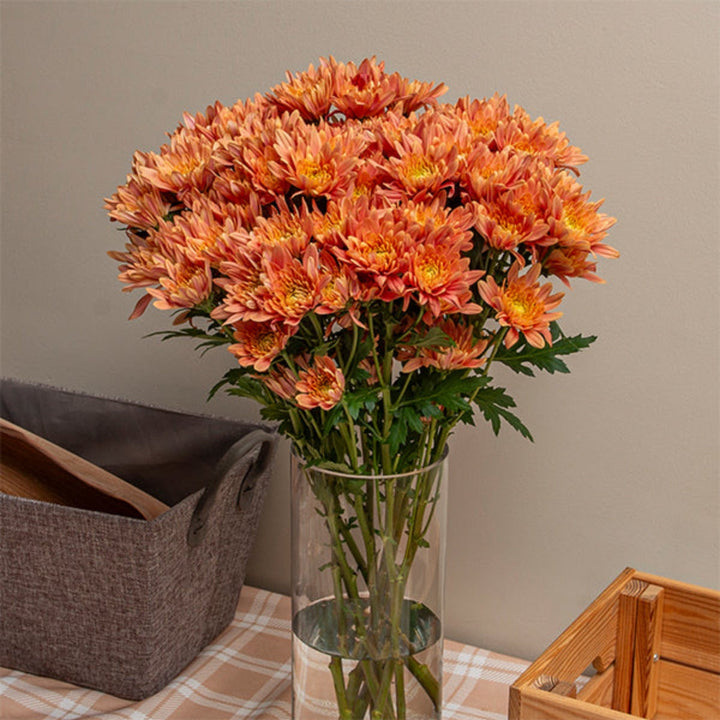 Salmon-colored chrysanthemums, veronica flowers, and greenery arranged in a bouquet of 10 stems by Black Tulip.