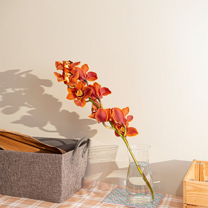 Single stem of red Cymbidium orchid flower from Fresh Flower Holland, showcasing vibrant blossoms and elegant floral details.