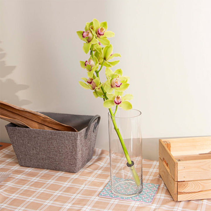 Green Cymbidium orchid flower on a single stem, fresh floral arrangement from Fresh Flower Holland.