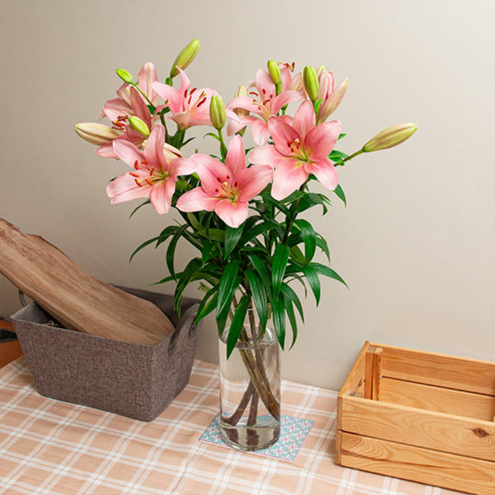 Five stems of Asiatic lilies in Brindisi Pink from Fresh Flower Holland, showcasing vibrant pink flowers with green stems.