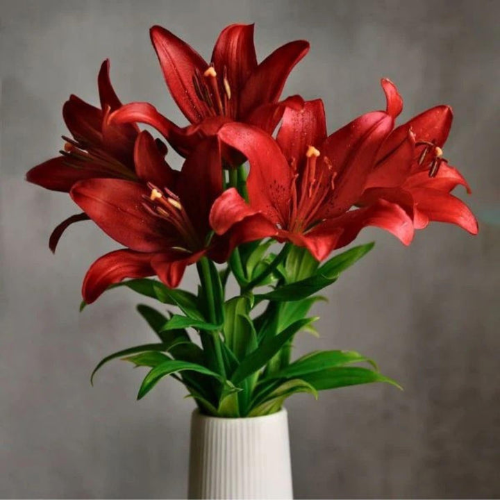 Fresh Asiatic Corleone Red lilies, 5 stems, vibrant Dutch flower bouquet from Fresh Flower Holland.