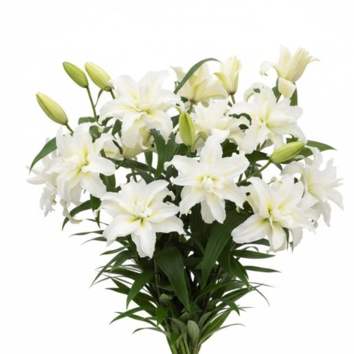 Bouquet of 5 scented Oriental lilies with double petals from SQ Flora Kenya, arranged in a floral display.