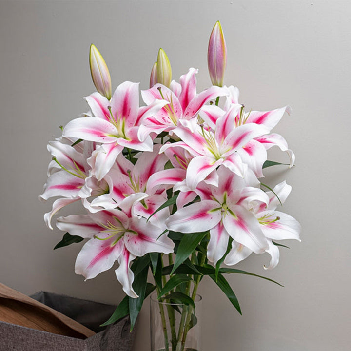 Pink Oriental lilies from Fresh Flower Holland, scented Dutch flowers with 5 stems, arranged beautifully for floral display.