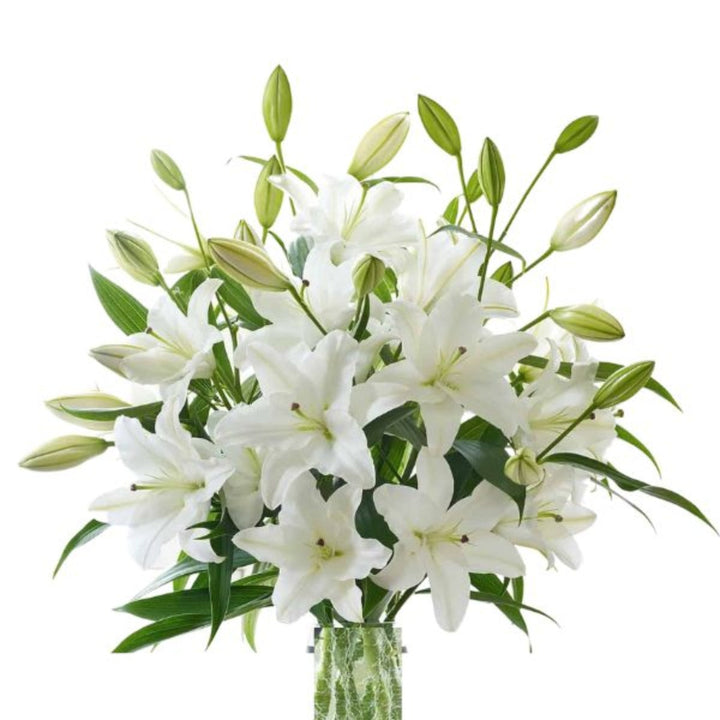White Oriental lilies from Flowranow, scented XL bouquet with 10 stems, beautifully arranged flowers for elegant decor.