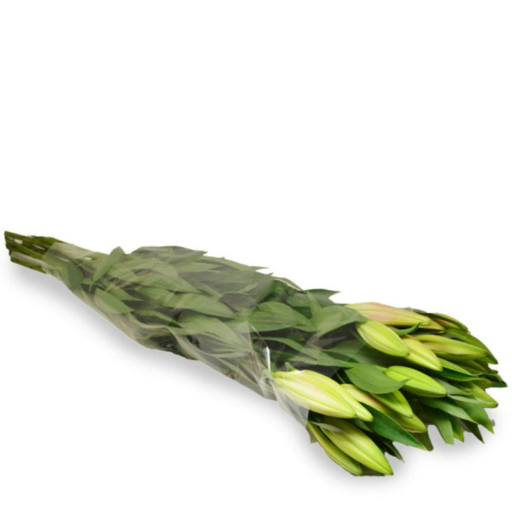 Pink Oriental Lilies from Flowranow with scented, large blooms on 10 stems, perfect for floral arrangements.