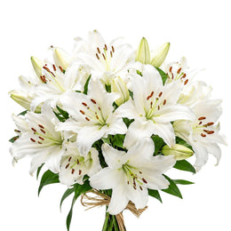 Lilies, Oriental, Scented, XL, White, Dutch, 5 Stems