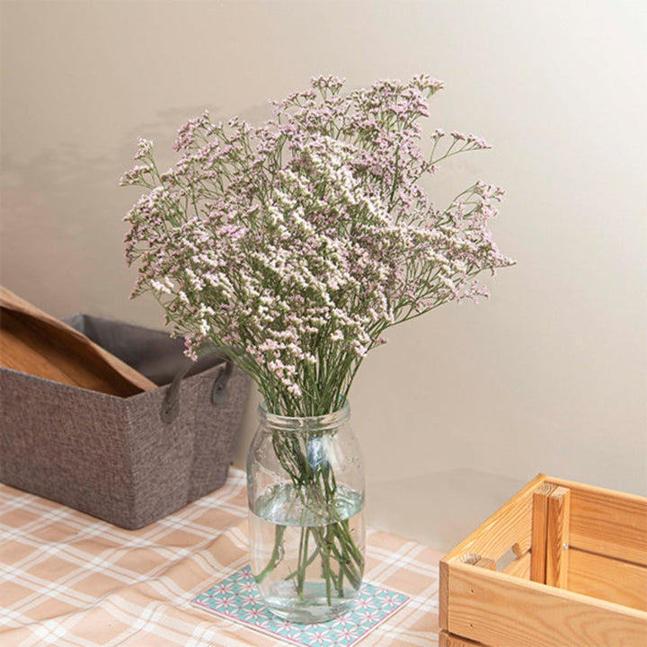 Pink Limoniums flower stems from SQ Flora Kenya with 10 stems, showcasing delicate blooms perfect for floral arrangements.