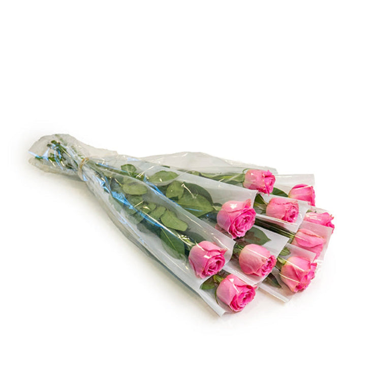 Pink rose flower from SQ Flora Kenya, single stem with vibrant petals, individually wrapped for freshness.