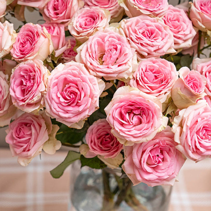Pink Roses Baby Dinara from Black Tulip, 10-stem bouquet of delicate pink flower stems.