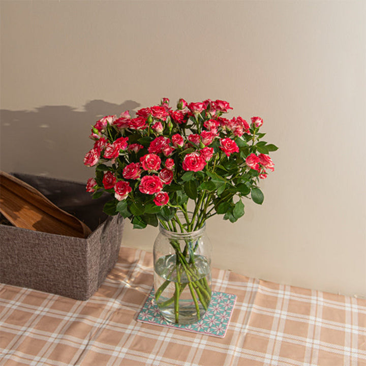 Pink Roses Baby flower arrangement with 10 stems from SQ Flora Kenya, showcasing delicate pink blooms in a natural display.
