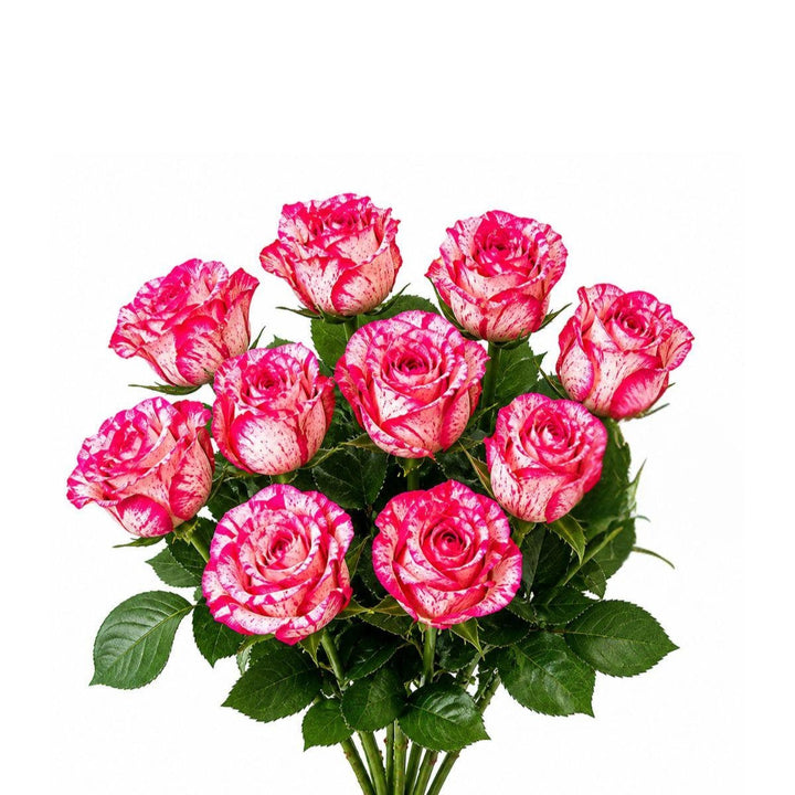 Bouquet of 10 Barracuda roses from SQ Flora Kenya arranged with vibrant red petals and lush green stems.
