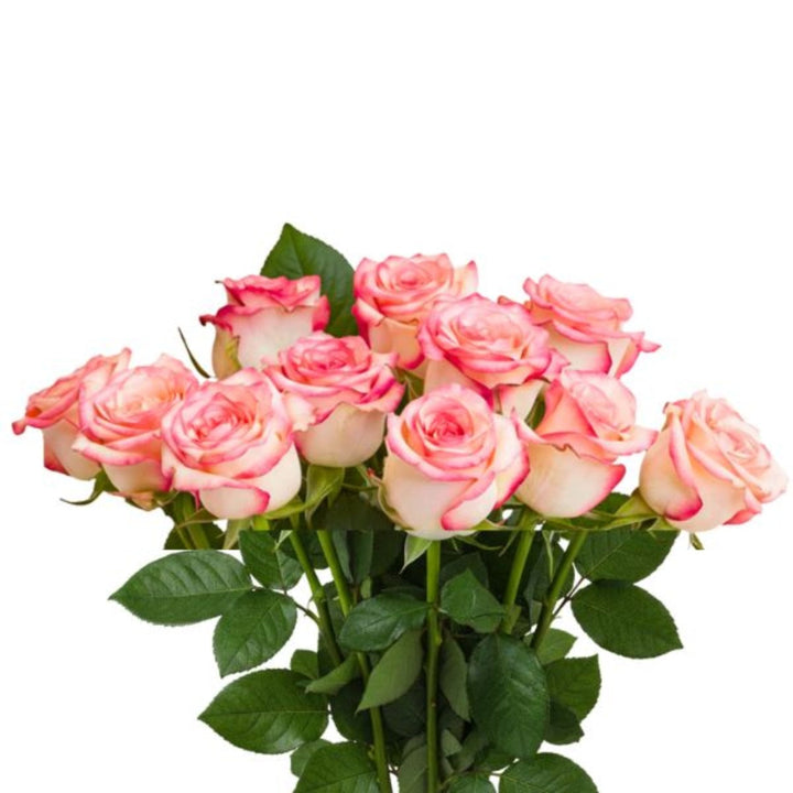 Bouquet of 10 fresh red roses from SQ Flora Kenya, arranged in a beautiful flower display.