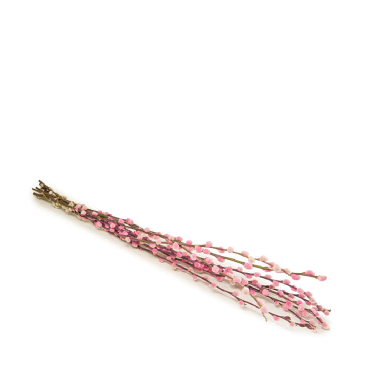 Salix, Pink, 10 Stems - Sharbatly.Club