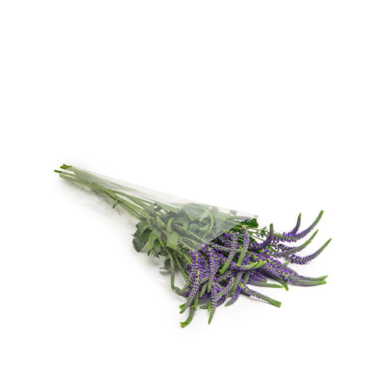 Purple Veronica Spray flowers from Black Tulip with 10 stems, displaying vibrant, elongated flower spikes on green stems.