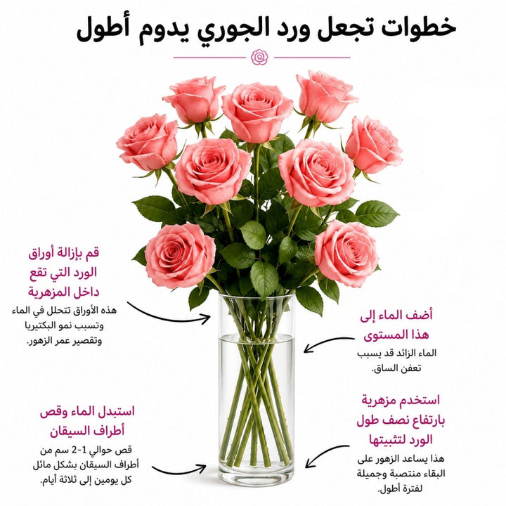 Bouquet of 10 Trinity-Peach Roses by SQ Flora Kenya, fresh flower stems with vibrant peach-colored blooms.